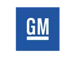 GM (OPEL ulje)